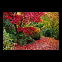 Autumn posters