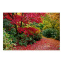 Autumn posters by tompurse Autumn posters