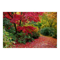 Autumn print