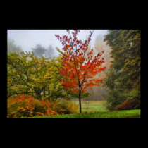 Autumn poster posters