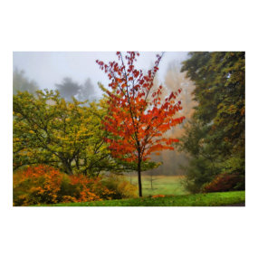 Autumn poster print