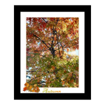 Autumn posters by ca1225 Autumn posters