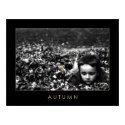 Autumn posters by boundless Autumn posters