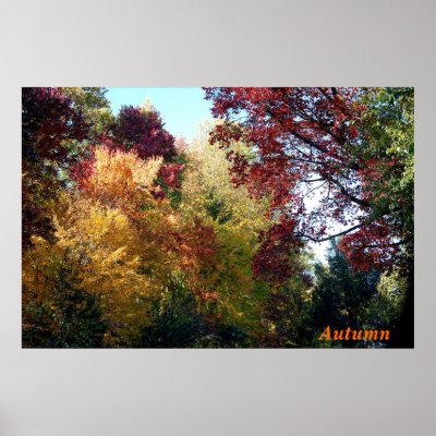 Autumn Poster by nwillens