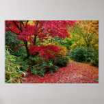 Autumn Print