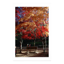 Autumn posters by Alysia_T Autumn posters