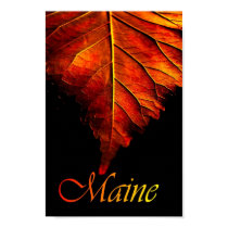 Autumn posters by TDSwhite Autumn posters