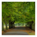 Autumn Promenade posters by sbdugdale Autumn Promenade posters