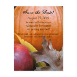 Autumn Pumpkin, Apple and Colorful Leaves Postcards