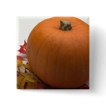 Autumn Pumpkin buttons
