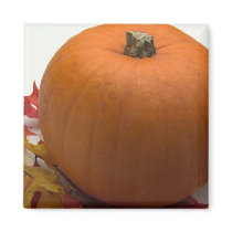 Autumn Pumpkin magnets
