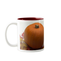 Autumn Pumpkin mugs