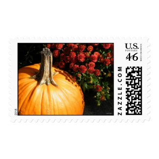 Autumn Pumpkin Stamps stamp