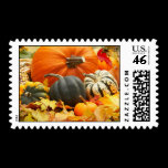 Autumn Pumpkins & Leaves postage