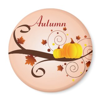Autumn pumpkins - Magnet magnet