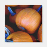 'Autumn Pumpkins' Magnet