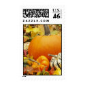 Autumn Pumpkins stamp