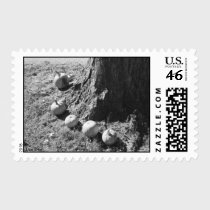 Autumn Pumpkins Postage stamps