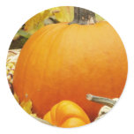 autumn Pumpkins Sticker autumn Pumpkins Sticker