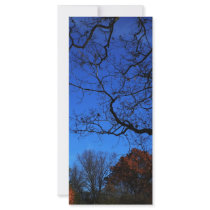 Autumn rack cards by catsirish Autumn rack cards