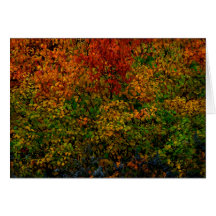 Autumn Rainbow Greeting Card