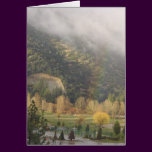 Autumn Rainbow in Pine Mountain Club