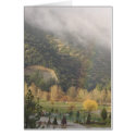 Autumn Rainbow in Pine Mountain Club cards