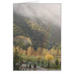Autumn Rainbow in Pine Mountain Club