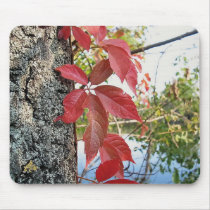 Autumn Red Ivy mousepads by patrickrp Autumn Red Ivy mousepads
