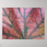 Autumn Red Leaf Print