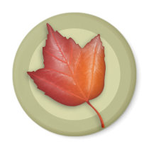 Autumn Red Maple Leaf Magnet