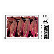 Autumn Red Stamps