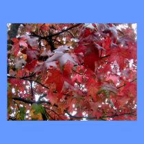 Autumn Reds Poster posters by outofmytree Autumn Reds Poster posters