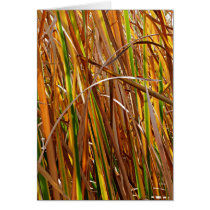 Autumn Reeds Number 5 (Vertical) cards by EarthSmiles Autumn Reeds Number 5 (Vertical) cards