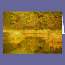 Autumn Reflected cards