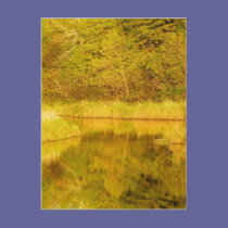 Autumn Reflected postcards