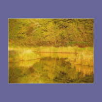Autumn Reflected postcards