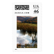 Autumn Reflection Postage Stamp