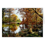 Autumn Reflections Greeting Cards