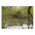 Autumn Reflections cards