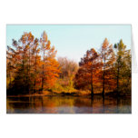 Autumn Reflections Photography Greeting Card