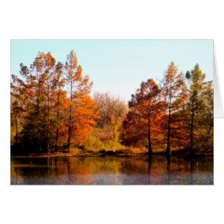 Autumn Reflections Photography Greeting Cards