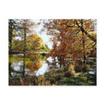 Autumn Reflections Postcard