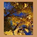 Autumn Reflections posters