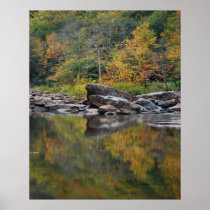 Autumn Reflections Print