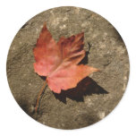 Autumn Remains Round Sticker