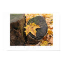 Autumn Rests posters by jesterbryanc Autumn Rests posters