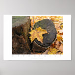 Autumn Rests posters