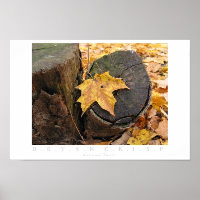 Autumn Rests Poster by jesterbryanc