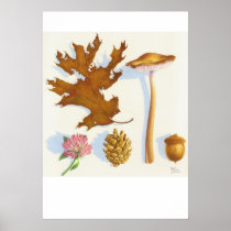 AUTUMN RETURN TO APPLETON Poster